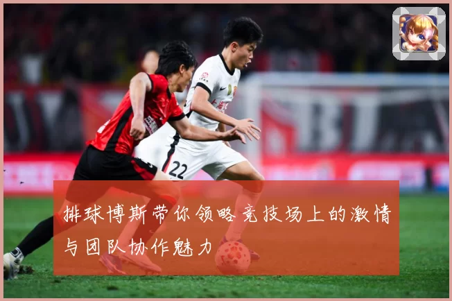 排球博斯带你领略竞技场上的激情与团队协作魅力