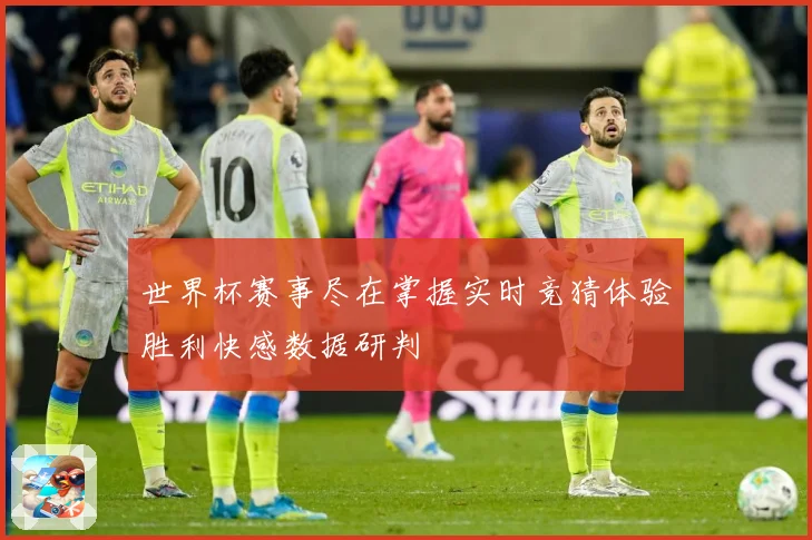 世界杯赛事尽在掌握实时竞猜体验胜利快感数据研判